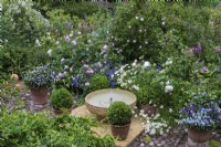 A bubbling bowl water feature is flanked by box balls, pots of violas, hardy geraniums, foxgloves and roses.