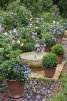 A bubbling water bowl is flanked by box balls, pots of violas, hardy geraniums, foxgloves and roses.