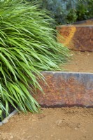 Hakonechloa by steps made from sand and Medite Smartply, a wood based panel product. May. Summer.