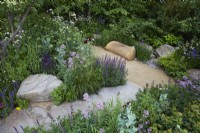 The Place2Be Securing Tomorrow Garden. Dseigner: Jamie Butterworth. Colourful woodland style planting with oak seat. Plants include Valerian, Salvia, Iris and ornamental grasses. RHS Chelsea Flower Show 2022. Gold Medal.