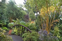 Japanese bridge in the Jungle at Four Seasons Garden, Walsall - October
