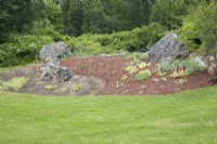 Newly-created island-bed. Weed-suppressing bark. Lawn. 

Recently-planted Tulipa Rajka and Paeonia.  Boulder rocks to provide shelter. 