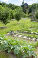 View over rows of veg, with wooden boards to protect soil, to young orchard in lawn beyond, summer July