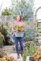 Woman carrying metal container planted with Calluna vulgaris, Ivy hedera, Chrysanthemums and stipa tenuissima