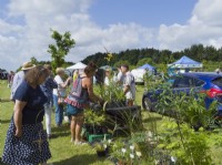 Customers buying from plant stall at Plant Fair at East Ruston Old Vicarage gardens