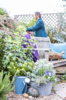 Woman gardening behind display of metal container planted with Chamaecyparis lawsoniana 'Snow White', Euphorbia 'Glacier Blue', Heuchera 'Little Cutie Peppermint', Violas and Thyme next to container planted with Fatshedera lizei 'Variegata' and Pittosporum branches at the end of a wooden bench