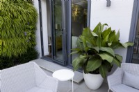 Contemporary patio with white garden seats and Canna musifolia in container