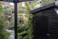 Black painted shed in small suburban garden