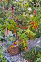 Organic kitchen garden with a raised bed and a basket of harvested vegetables.