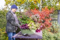 Woman planting Helleborus 'Victoria' in large metal container