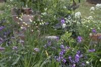 Recall, Return, Renew Beautiful Border at BBC Gardener's World Live 2022