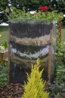Recycled compost planting container with pelargoniums
