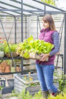 Woman carrying wooden tray full of lettuce