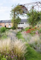 The grassy path is bordered with Nassela tenuissima 'Pony Tails', Nepeta 'Six Hills Giant, Crocosmia 'Lucifer', Lychnis coronaria and leads to the derelict dutch barn which supports rambling roses.