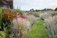 The grassy path is bordered on the left with, Nassela tenuissima 'Pony Tail', Crocosmia 'Lucifer' and Lychnis coronaria and on the right, Nepeta 'Six Hills Giant'.