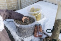 Child preparing to fill bird feeder with sunflower seeds on snowy day in winter