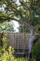 Rope swing hanging from apple tree in summery cottage garden