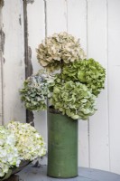 Dried hydrangea flowers in green metal tin vase on grey table