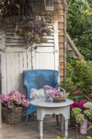 Decked seating area with display of Hydrangea macrophylla in containers and vases and dried flower heads