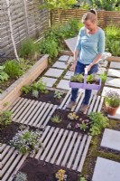 Creating drought tolerant flowerbed on the roof of garage. The flower bed is separated by slats, which are decorative and at the same time serve as a path. Woman carrying trug with herb seedlings.