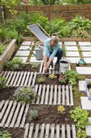 Woman creating drought tolerant flowerbed on the roof of garage. The flower bed is separated by slats, which are decorative and at the same time serve as a path. Adding layer of compost.