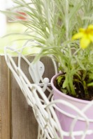 Wall basket planter hanging from hooks on wooden fence