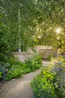 Curved path between Betula pendula and shade loving plants leading to curved sculptural walls. The Mind Garden, Designer: Andy Sturgeon, RHS Chelsea Flower Show 2022- Gold Medal