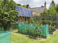 Solar panels in walled garden