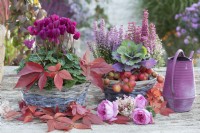 Baskets with cyclamen, bell heath, and ornamental cabbage, autumn leaves of five-leaved ivy, roses, ornamental apples, and hydrangea blossoms