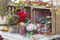 Autumn arrangement with cyclamen, Gaultheria, bell heath, ornamental cabbage, ornamental pumpkin, ornamental apple, and bouquet of chrysanthemum and hydrangea