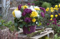 Autumn bouquet of decorative chrysanthemums with ivy, wood as decoration