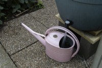 A pink metal watering can sits below the tap of a water butt. The tap is turned on and water is running. Derryn Bank. Autumn.