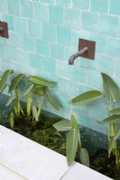 Contemporary water fountain with green ceramic tiles and Thalia dealbata in water