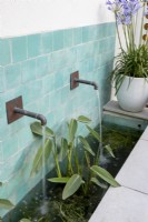 Contemporary water fountain with green ceramic tiles and Thalia dealbata in water and Agapanthus in container