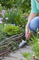 Weeding a path between beds with a trowel.