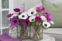 Spring bouquets of anemones and broom in a wire basket