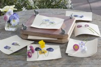 Greeting cards designed with pressed flower for a floral motif
