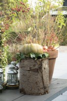 Decoration with pumpkin, tree trunk and Hedera on table with metal lanterns.