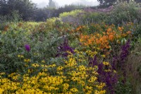 Large 'Hot' border in late summer with Rudbeckia fulgida var. deamii,   Helenium 'Sahin's Early Flowerer and Lobelia 'Hadspen Purple'