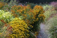 Large 'Hot' border in late summer with various late perennials and grasses including Rudbeckia fulgida var. deamii, Helenium 'Sahin's Early Flowerer'.