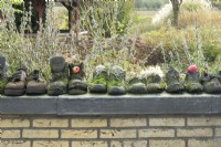 Old moss-covered working shoes in a row as decoration on wall in garden.
