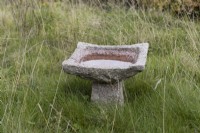 A low weathered stone bird bath sits on an overgrown lawn. Autumn.