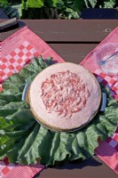 Rhubarb pie, on Rhubarb leaf, according to a special recipe on table covered with tea towels.