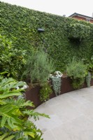 Inner city courtyard garden with a lush sub tropical garden, raised garden beds and a wall covered in creeping fig.