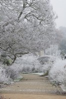 Bowes Lyon Rose Garden in the frost at RHS Wisley Gardens