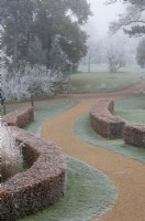 Pathway through lawns edged with low Beech hedging in the frost at RHS Wisley Gardens