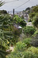 View from a house in a Cornish fishing village with a garden full of exotic plants, benefitting from the mild seaside climate.