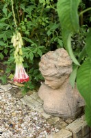 Decorative bust in a Cornish garden of tender plants in August