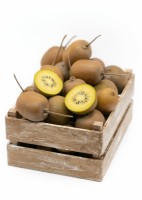 Actinidia Gold in wooden crate, spring April