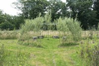 Growing willow trained into a circle with tree trunk seats.